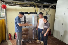 A cooperative in Bac Ninh province invests in a high-capacity fruit dryer for its production activities. (Photo: VNA)