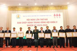 Individuals are honoured at the event for their contributions to activities for AO victims in 2024. (Photo: VNA)