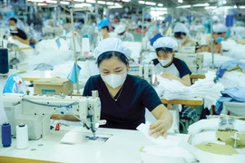 Illustrative photo (baodautu.vn)