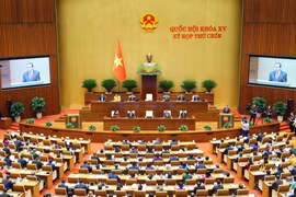At the opening ceremony of the 15th NA's 9th session (Photo: VNA)