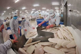 The Middle Eastern market favours Vietnamese pangasius exports that meet Halal standards (Photo: VNA)
