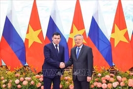 Permanent Deputy Prime Minister Nguyen Hoa Binh (right) and Aide to the Russian President Dmitry Mironov at their meeting on December 3 (Photo: VNA)