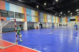 Vietnamese futsal players during a training session (Photo: VNA)