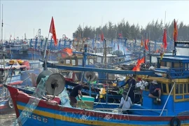 Bac Lieu province has 862 fishing vessels, of which 847 are officially registered, accounting for 96.87% of the fleet. (Photo: VNA)