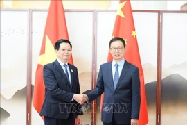 Deputy Prime Minister Mai Van Chinh (L) meets with Chinese Vice President Han Zheng in Nanning city on September 16, 2025. (Photo: VNA)