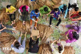 Many start-up models of rural women have increased value of local products while creating jobs for local residents. (Photo: VNA) 