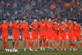 Vietnam's national football team. (Photo: VNA)