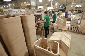 Wood production at the Nhat Nam Ply Wood Co., Ltd. (Photo: VNA)