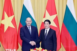 Vietnamese President Luong Cuong (R) and Bulgarian President Rumen Radev at their meeting in Hanoi on November 25, 2024 (Photo: VNA)