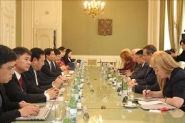The meeting between the delegation from the Ho Chi Minh National Academy of Politics and the Czech Senate. (Photo: VNA)
