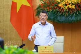 Prime Minister Le Minh Hung speaks at the meeting (Photo: VNA)