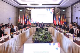 Delegates attend the the 22nd ASEAN Ministerial Meeting on Science, Technology and Innovation (AMMSTI-22), held in Vientiane, Laos, on June 26. (Photo: VNA)