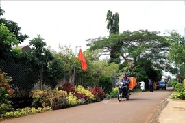 Model new-style rural appearance in Xuan Dinh commune, Xuan Loc district, Dong Nai province. (Photo: VNA)