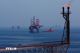Oil rigs at the Bach Ho oil field. (Photo: VNA)
