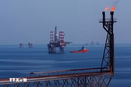 Oil rigs at the Bach Ho oil field. (Photo: VNA)