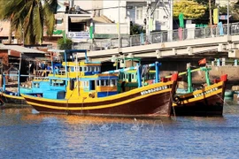Binh Thuan's fishing boats anchored on the Ca Ty River. (Photo: VNA)