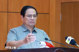Prime Minister Pham Minh Chinh addresses the working session. (Photo: VNA)
