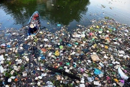 A worker collects plastic waste at the Hy Vong Canal in Ho Chi Minh City. (Photo: VNA )