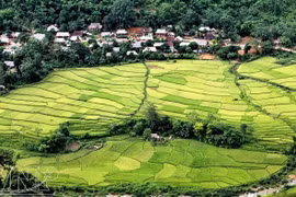 A village of Thai ethnic group in Pu Luong, Thanh Hoa province. (Photo: VNA)