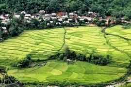 A village of Thai ethnic group in Pu Luong, Thanh Hoa province. (Photo: VNA)