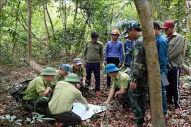 Patrol teams determine directions and mark the places they have visited in the Nha - Ke Bang National Park. (Photo: VNA)