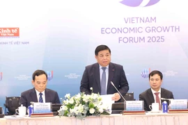 Deputy Prime Minister Nguyen Chi Dung speaks at the forum. (Photo: VNA)