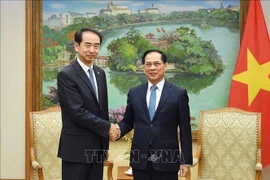 Deputy Prime Minister Bui Thanh Son (right) and Chinese Ambassador to Vietnam He Wei at their meeting on November 17 (Photo: VNA)