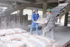 Workers load and unload cement. (Photo: VNA)