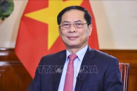 Deputy Prime Minister and Minister of Foreign Affairs Bui Thanh Son. (Photo: VNA)