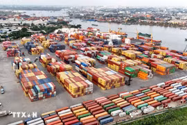 SOWATCO Long Binh port in Ho Chi Minh City (Photo: VNA)
