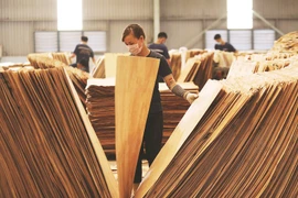 Illustrative photo (Photo: vneconomy.vn)