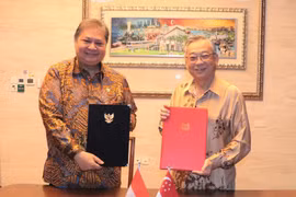 Singapore's Deputy Prime Minister and and Minister for Trade and Industry Gan Kim Yong (right) and Indonesia’s Coordinating Minister for Economic Affairs Airlangga Hartarto at the 15th Singapore-Indonesia Six Bilateral Economic Working Groups Ministerial Meeting. (Photo: MTI)