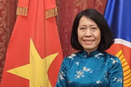 Vietnamese Ambassador to Argentina, Paraguay and Uruguay Ngo Minh Nguyet (Photo: VNA)