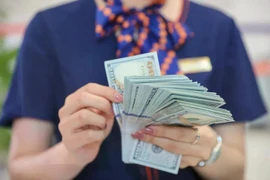 Exchange rate pressure remains a burden for managers in 2025. (Photo: VietnamPlus)