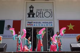 A performance by the wives and children of officials from Vietnamese representative agencies in Mexico. (Photo: VNA)