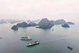 Tourist ships in Ha Long Bay, Quang Ninh province (Photo: VNA)