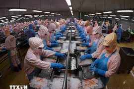 Illustrative image (Photo: VNA)