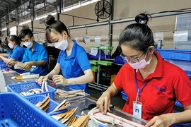 The issuance of Resolution No. 68 on private-sector development, featuring many breakthrough policies, has opened up new development space for businesses. (Photo: VNA)