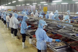 Processing canned fish for export (Photo: VNA)