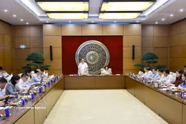 At the working session between NA Chairman Tran Thanh Man and standing members of the NA's Committee for Cultural and Social Affairs. (Photo: VNA)