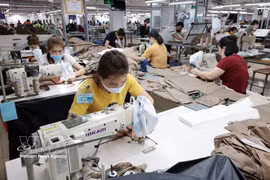 Producing garments for export to the EU market at TDT Thai Nguyen Garment Company. (Photo: VNA) 