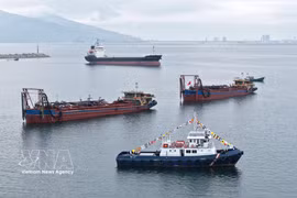 A view of the Lien Chieu Container Port construction project in Da Nang city (Photo: VNA) 