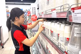 Lotte Mart Vietnam is currently distributing around 900 private-label products manufactured in Vietnam under the retailer’s strict quality control. (Photo: VNA)