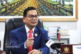 Dr. Kin Phea, Director General of the International Relations Institute of Cambodia (RAC). (Photo: VNA)