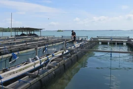 Singapore invests to strengthen food self-reliance