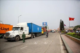 Bustling trade activities along the Vietnam–Cambodia border are contributing to the goal of raising bilateral trade turnover to 20 billion USD. (Photo: VNA)