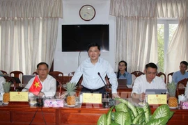 Permanent Vice Secretary of the Hau Giang provincial Party Committee Nguyen Tuan Anh speaks at the meeting. (Photo: VNA)