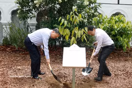 General Secretary of the Communist Party of Vietnam Central Committee and State President To Lam joins Singaporean Prime Minister Lawrence Wong in the tree-planting ceremony on May 30. (Photo: VNA)