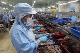 Workers process fish to be tinned for export at KTC Canned Food Factory under Kien Giang Trading JSC. (Photo: VNA)