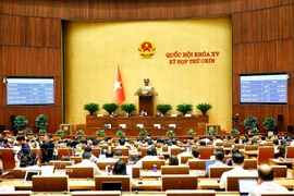 The National Assembly passes the law amending and supplementing several articles of the Criminal Code. (Photo: VNA_ 